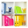 Organizacja