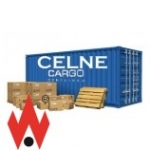 Celne