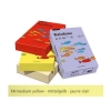 Papier ksero A4 RAINBOW 160 g/m2 (14) słoneczny