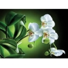 Kalendarz Trójdzielny Orchidea T-58
