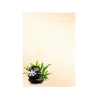 Galeria Papieru A4 170 g/m2 SPA