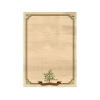 Galeria Papieru A4 170 g/m2 NATURA