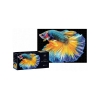 PUZZLE Interdruk 250 ele Colourful Nature 6