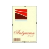 Antyrama PLEXI 59,4x84,1 cm