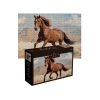 PUZZLE Interdruk 1000 ele. Wild Horses 2