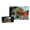 PUZZLE Interdruk 250 ele Colourful Nature 11