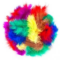 Ozdoba - Piórka 5-12 cm Basic CEPI-102, 5 g