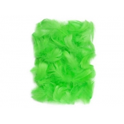 Ozdoba - Piórka 5-12 cm zielone CEPI-014, 10 g