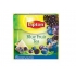 Herbata LIPTON Fruit Piramidki 20 torebek
