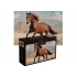 PUZZLE Interdruk 1000 ele. Wild Horses 2