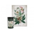 PUZZLE Interdruk 1000 ele. Botanic Helleborus
